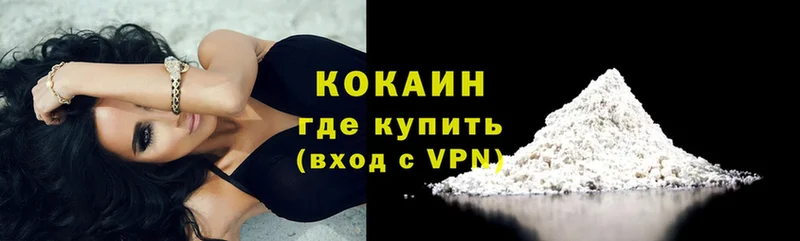 COCAIN Fish Scale  Кандалакша 